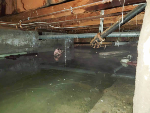 Best Water damage cleanup near me  in Churchville, PA