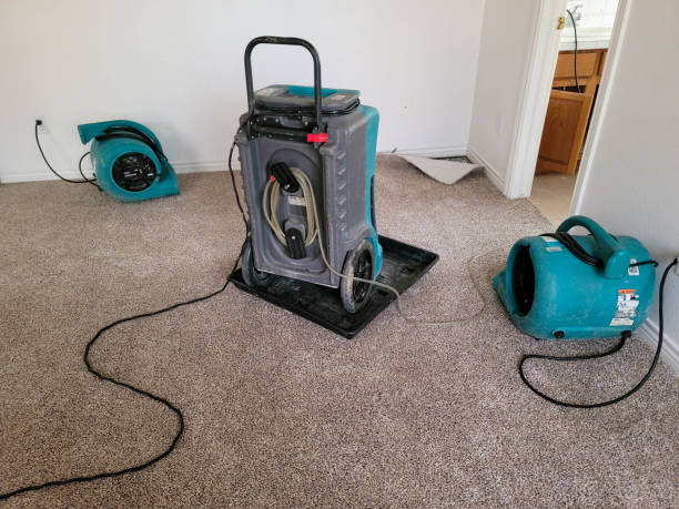 Best 24-hour water damage restoration  in Churchville, PA