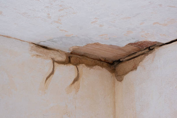 Best Water damage restoration mold remediation  in Churchville, PA
