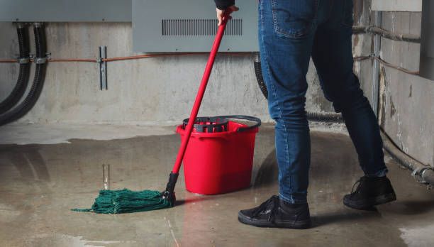 Best Carpet water damage restoration  in Churchville, PA