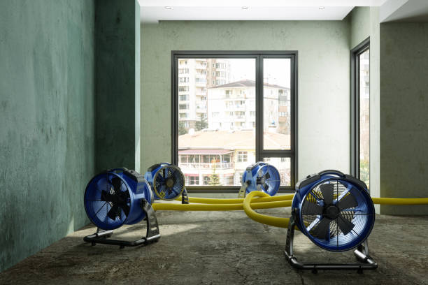 Best Residential water damage restoration  in Churchville, PA